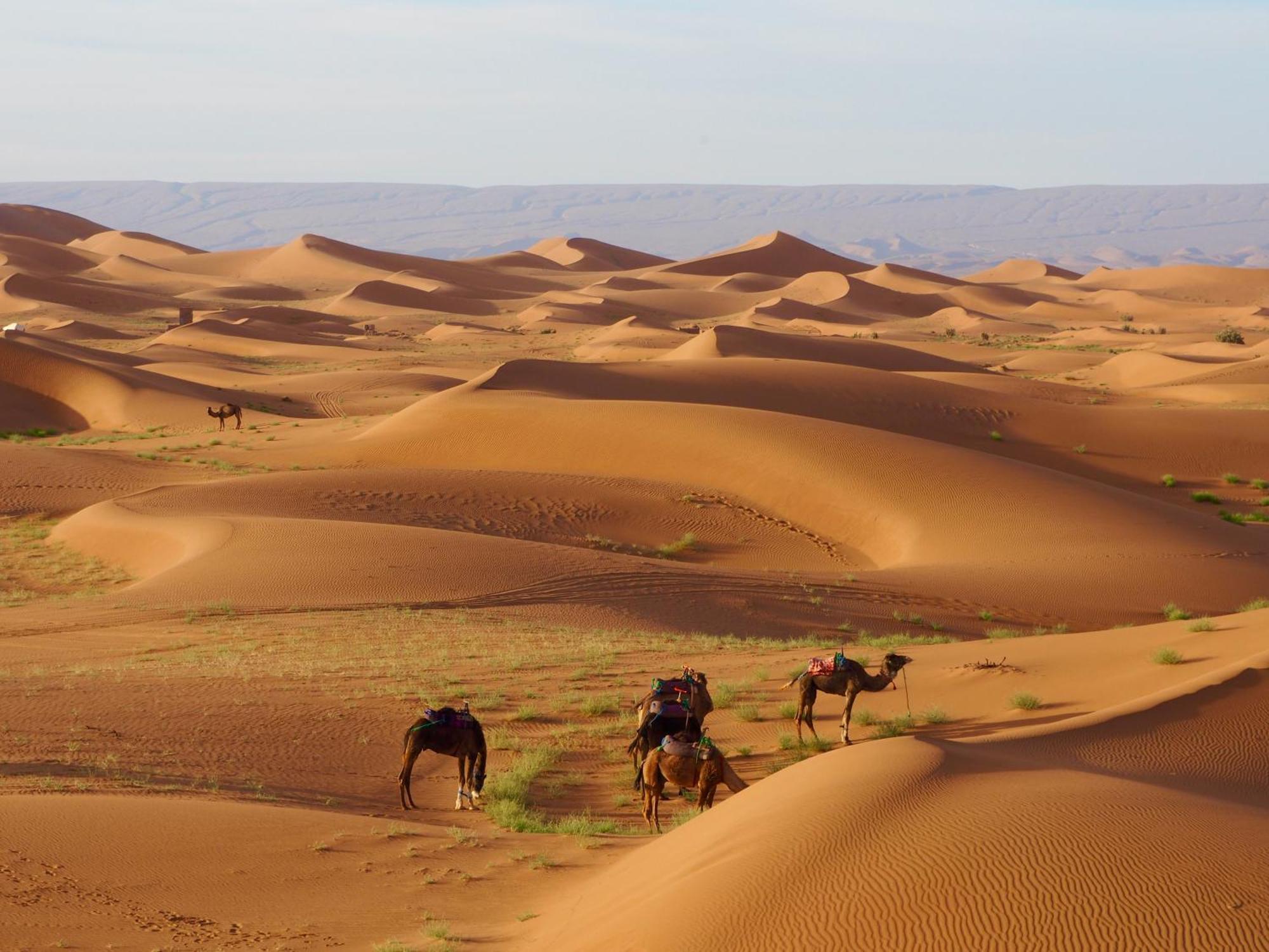 Desert Bivouac Mhamid Мхамід Екстер'єр фото